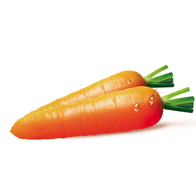 Carrot