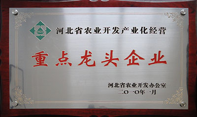 2010省農開辦龍頭企業