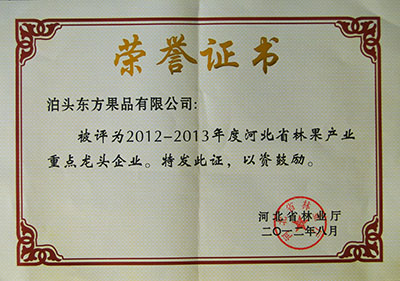 2012年(nián)省林業重點龍頭企業證書